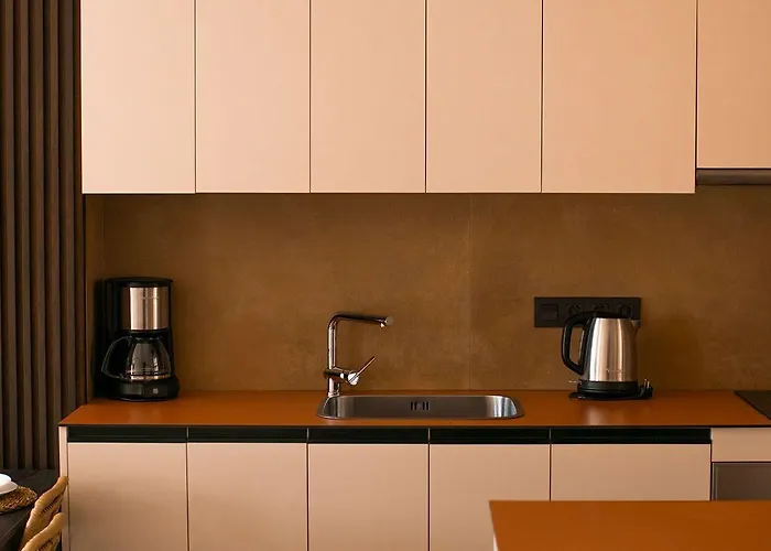 普拉亚祖尔公寓 公寓式酒店